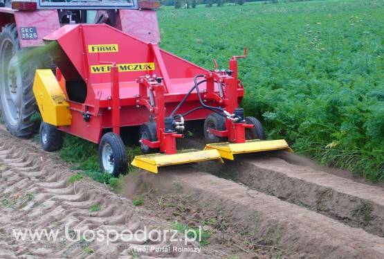 Ogławiarka z niszczeniem naci do marchwi, pietruszki, buraków, pasternaku itp.