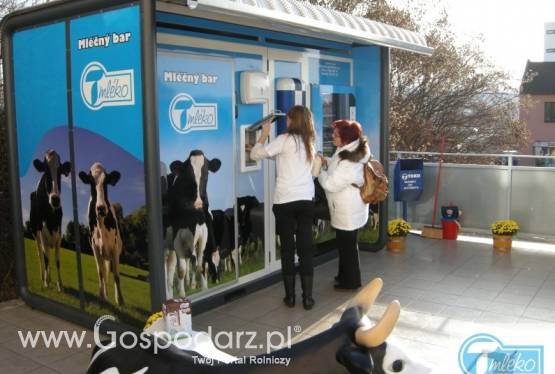 Mlekomat wielozbiornikowy XL - metalowy