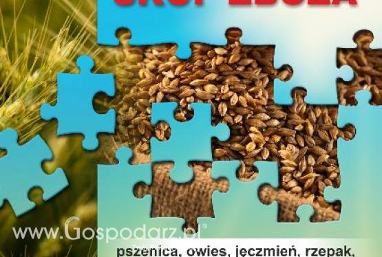 Kupię łubin - skup łubinu