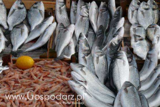 Posiedzenie Rady Ministrów ds. Rolnictwa i Rybołówstwa w Brukseli