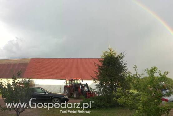 Litwa. Do wydzierżawienia gospodarstwo rolne 100 ha.