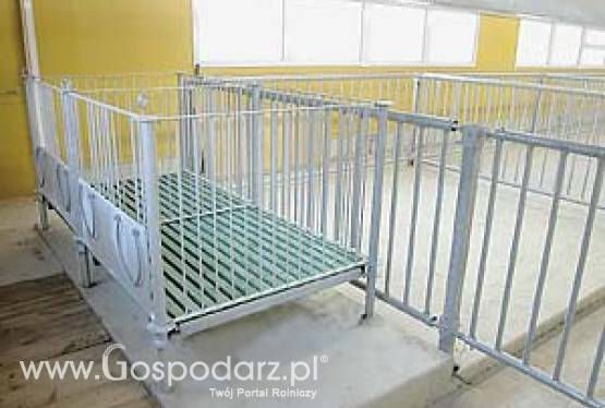 Klatki dla cieląt