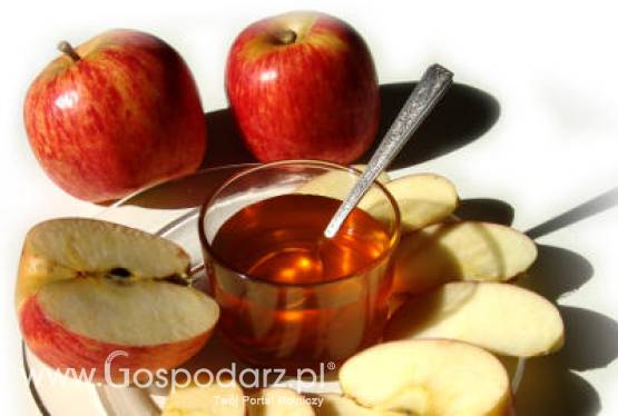 Dialog pomiędzy MRiRW, PIORiN oraz przedstawicielami Federacji Rosyjskiej