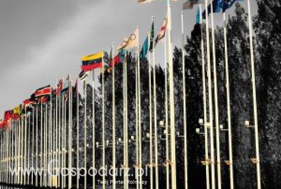 14. Międzynarodowe Specjalistyczne Targi Rolno-Przemysłowe „FARMER”, Kiszyniów, 19-22 października 2011 r.