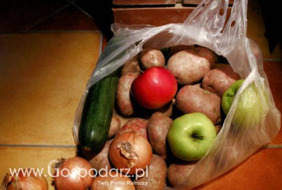 Średnio w Polsce jest wyrzucanych blisko 18 procent miesięcznych zakupów