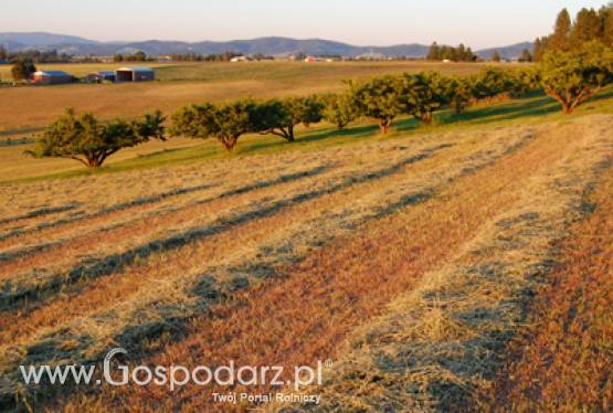 Najważniejsze jest rolnictwo