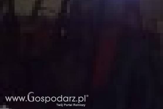 Ciągnik ursus 912 wójcin