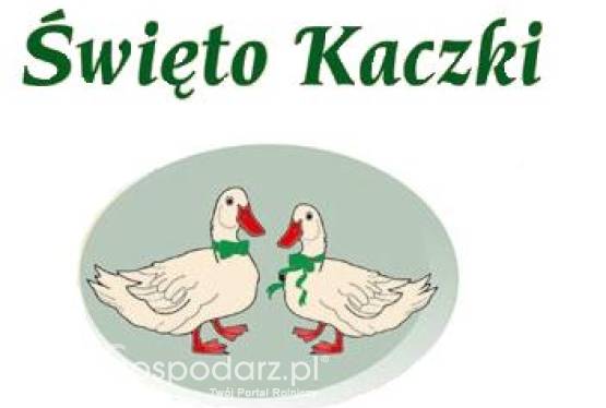 Święto kaczki