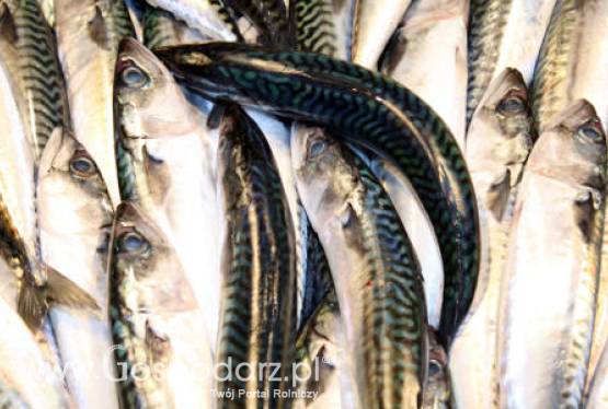 Dofinansowanie w ramach Środka 2.4. Rybołówstwo śródlądowe