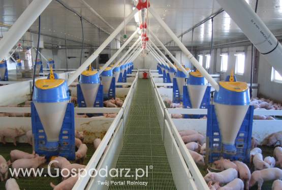 Paszociągi spiralne