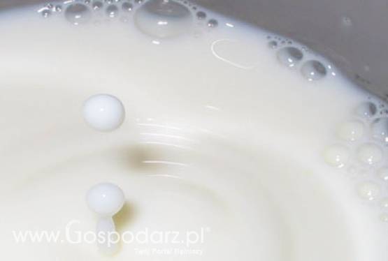 Informacja zbiorcza o wynikach kontroli planowej w zakresie jakosci handlowej przetworów mlecznych