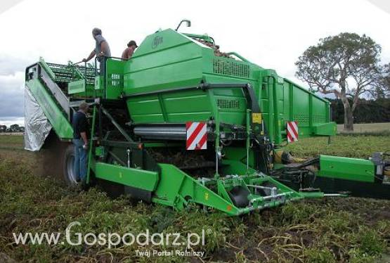 AVR Spirit 8200 Kombajn do zbioru ziemniaków