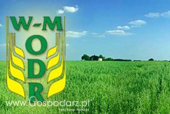 V Wiosenne Targi Ogrodnicze “Pamiętajcie o ogrodach