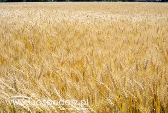 Druga edycja Konkursu Wiedzy o Rolnictwie Ekologicznym zakończona