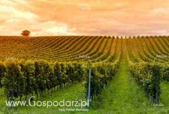 NOWY SEZON NA INWESTYCJE- ODLICZ VAT OD INWESTYCJI