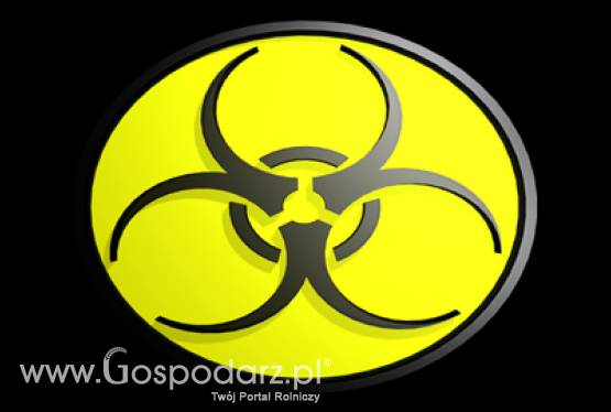 Szwecja - Wykryto wąglika