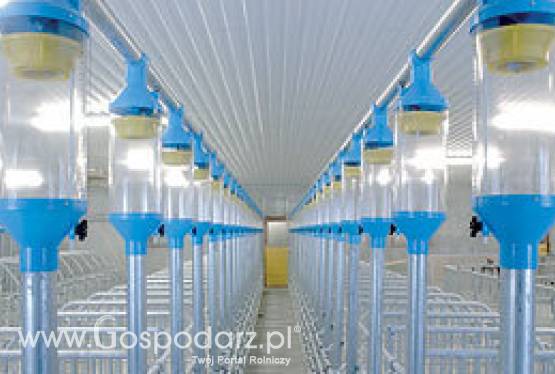 Łańcuchowy przenośnik paszowy PELLON