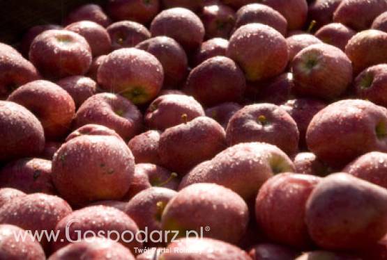 Działania promocyjne źródłem sukcesów w eksporcie