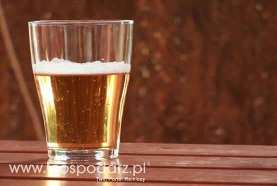 Ukraina – Będzie festiwal piwa na Euro 2012?