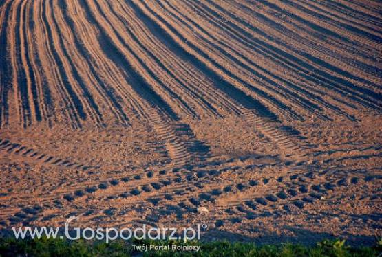 ANR zarobiła 245 mln zł za tereny inwestycyjne w 2011 r.
