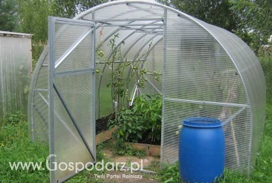 Szklarnia Kinowskaya