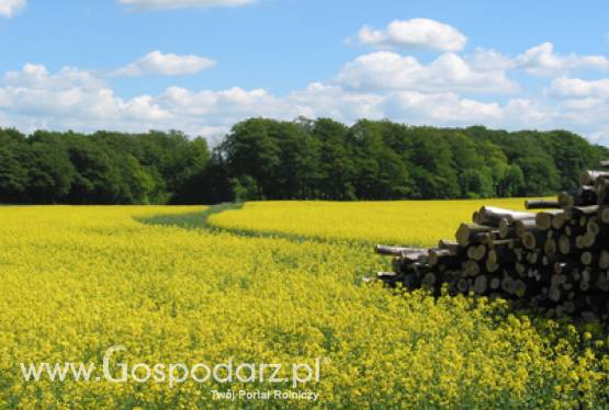 Irlandzki sektor biokomponentów wzywa do zwiększenia zużycia biopaliw przez państwowe przedsiębiorstwa