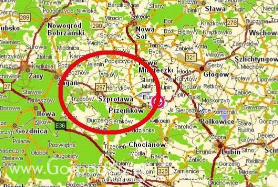 14 ha gospodarstwo - lubuskie