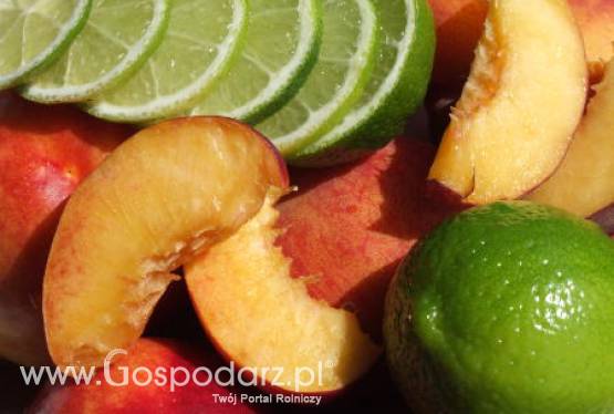 Wymiana handlowa warzyw i owoców na terenie Unii Europejskiej