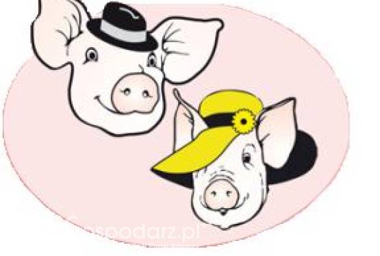 Festiwal Wieprzowiny w Wąbrzeźnie