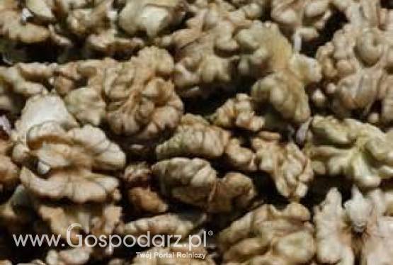 sprzedam orzechy wloskie luskane