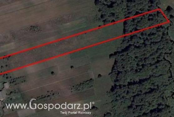 Gospodarstwo rolne / działka rolno budowlana 1,74ha ok. Rawa Mazowiecki