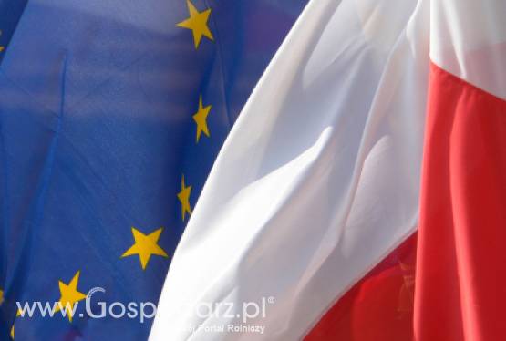 Świętujemy Dzień Europy w Poznaniu