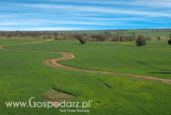 Drgnęły ceny państwowych gruntów