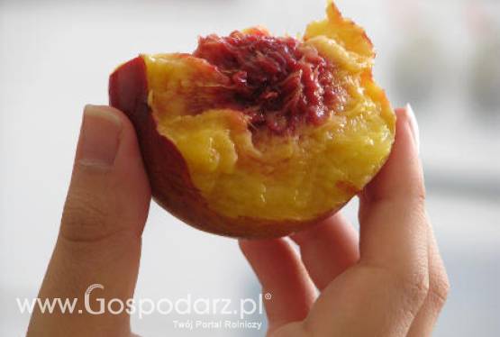 Wzrośnie światowa produkcja brzoskwiń