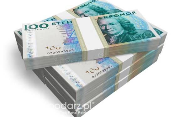 Oferta kredytowa dla tych, którzy maja problemy