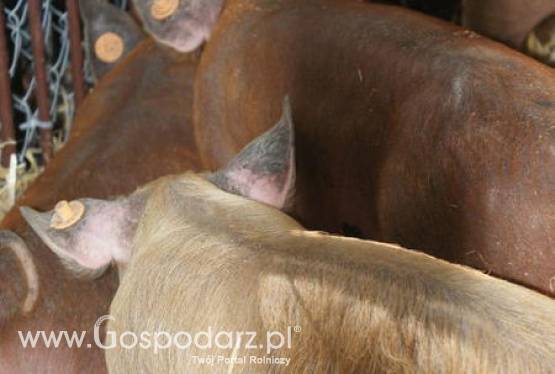 Informacja nt. uczestnictwa Głównego Lekarza Weterynarii w wizycie Prezydenta Rzeczypospolitej Polskiej w Chińskiej Republice Ludowej w dniach 18 – 22 grudnia 2011 r.