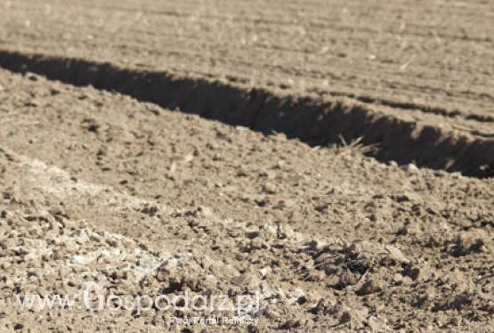 Międzynarodowa konferencja nt. glebowej materii organicznej