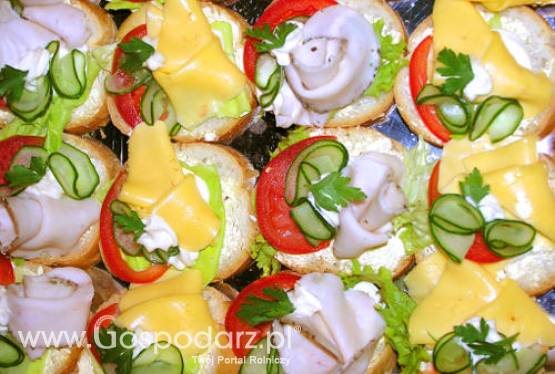 Wielka Brytania – Spadek sprzedaży ekologicznej żywności