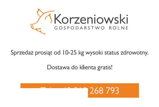 Sprzedaż Prosiąt.Dostawa do klienta gratis!