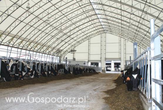 Hala strukturalna typ Szczytowa