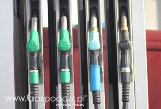 Rośnie znaczenie rynkowe E10 we Francji