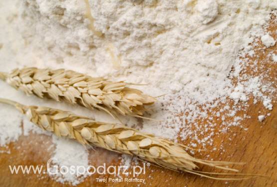 Unia Europejska wyeksportowała poza swoje granice ponad 25 mln ton