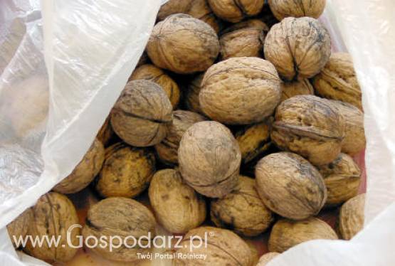 Płatne reklamówki lub torby wielokrotnego użytku