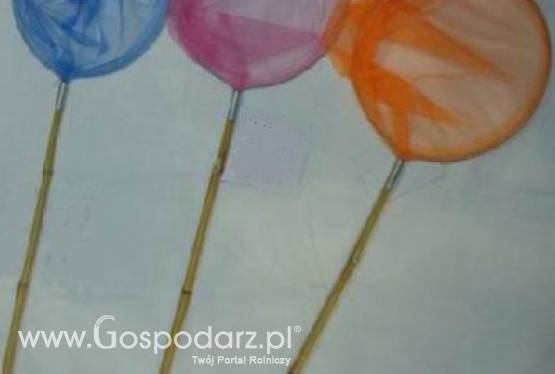 Podbieraki do oczka wodnego