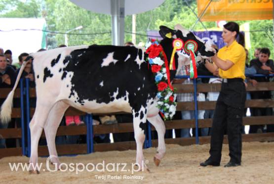 XVIII Regionalna Wystawa Zwierząt Hodowlanych i Dni z Doradztwem Rolniczym w Szepietowie już za nami