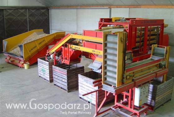 Bijlsma Hercules Linia sortująca do skrzyniopalet