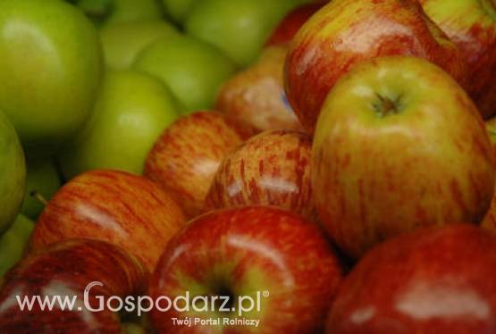 Australia – Spadek produkcji jabłek