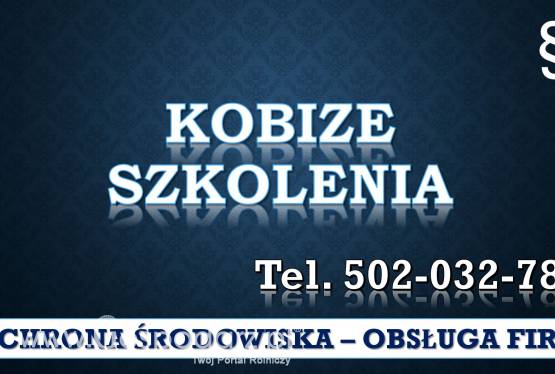 Raportowanie do Kobize, pomoc