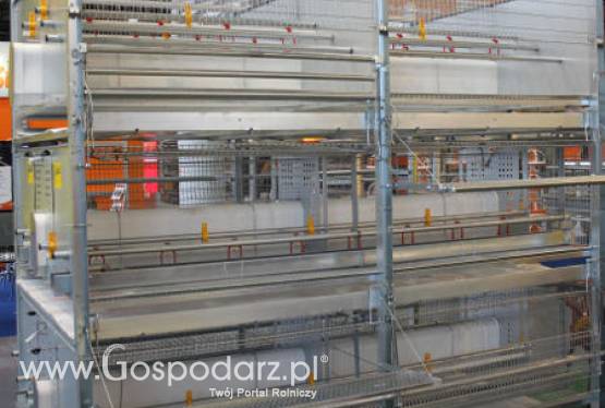 Czy w polscy hodowcy kur niosek zdążą z wymianą klatek?