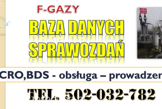 Centralny Rejestr Operatorów CRO, BDS, F-gazy